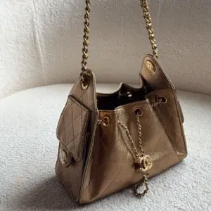 CHANEL 25 Hobo Bag