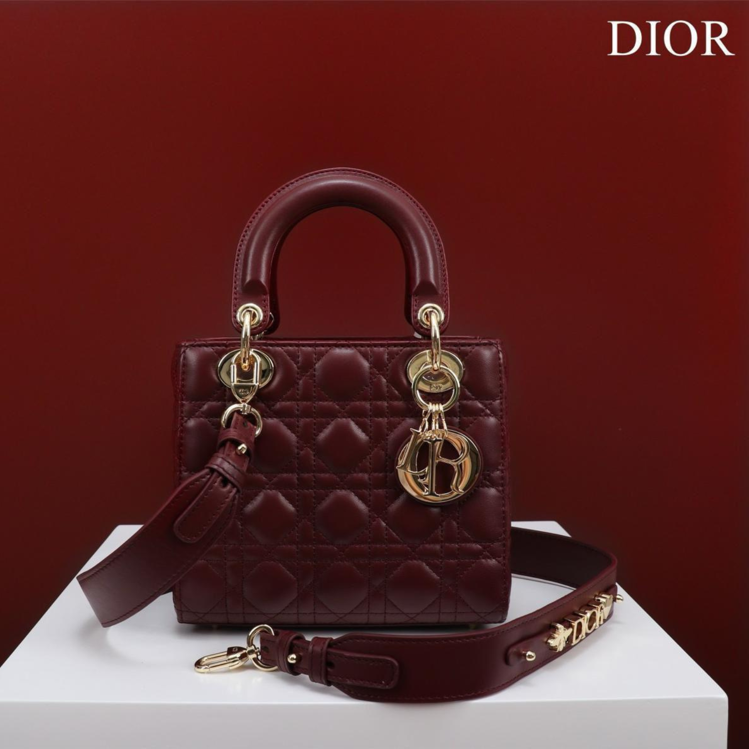 DIOR Lady Mini Bag DIOR Lady Mini Bag
