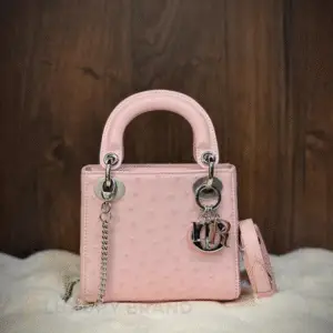 DIOR Mini Lady Bag