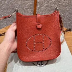 HERMES Evelyne Bag