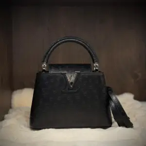 Pre-owned Louis Vuitton Mini Capucines Bag