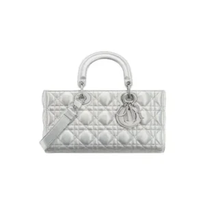 Medium Dior Lady D-Joy Bag