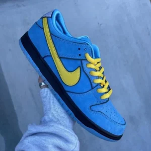 Nike shoe